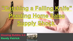 Housing Bubble 2.0 - Catching a Falling Knife - Pending Home Sales - Supply Shock 