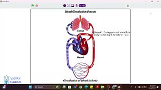 DIY video for creating animation for Blood circulation using Pictoblox screenshot 2