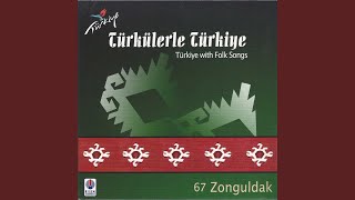 Evlerinde Makine