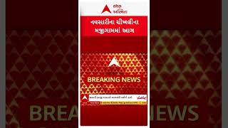 Navsari Fire | નવસારીના ચીખલીમાં ઘાસમાં લાગી આગ, આગને લઈ સ્થાનિકોએ શું કર્યો દાવો?