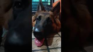 She Just Wants You To Stay