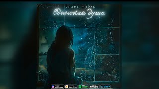 Zhamil Turan- Одинокая душа |Премьера песни 2024| Resimi