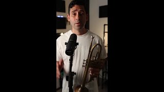 Mastering The Trumpet Embracing Effortless Playing
