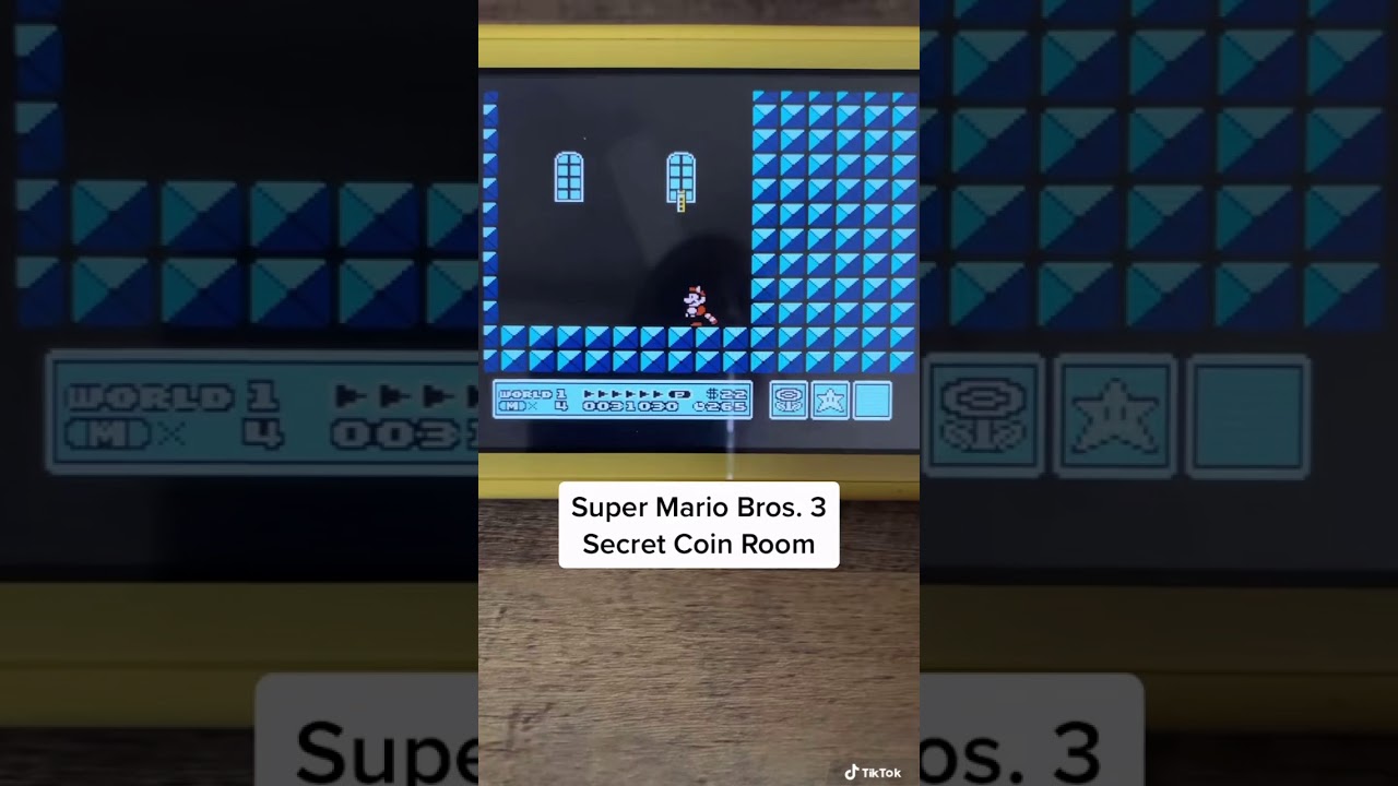 Super Mario Bros 3 Secret Coin Room