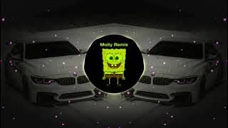 DJ PANDANG PERTAMA LIAT NONA LANGSUNG SUKA | DJ STECU🎼VIRAL TIKTOK TERBARU