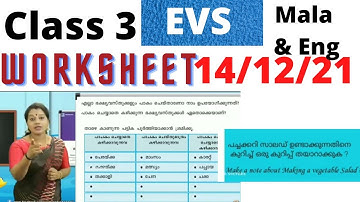 class 3 EVS worksheet 14/12/21|kite victers 3rd STD parisarapadanam