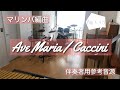 【マリンバ編曲】Ave Maria / Caccini　伴奏者用参考音源