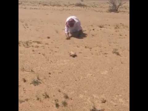 صياد اظب هههه