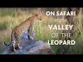 On Safari in The Valley of the Leopard - South Luangwa, Zambia