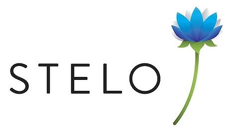 SAP Fiori Tutorial: How to pre-populate data in a Fiori app using Stelo