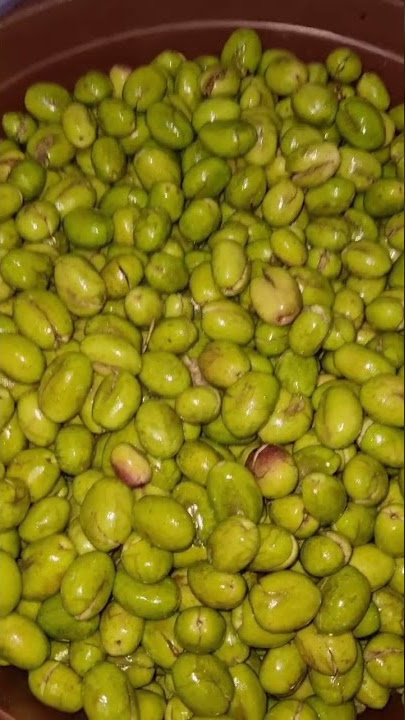 #short #shorts #zaitun