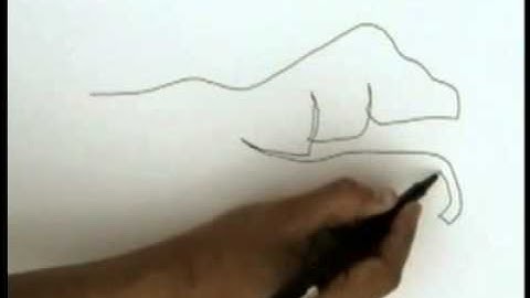 Blind Contour Drawing Tutorial