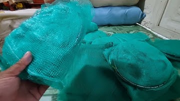 Bán dớn, bán dớn chặn sông, bán dớn mini, bán đuôi dớn, bán đuôi chuột, zalo 0936059090.