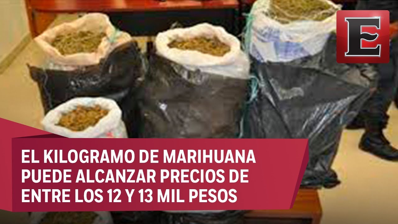 El precio de la marihuana en México YouTube