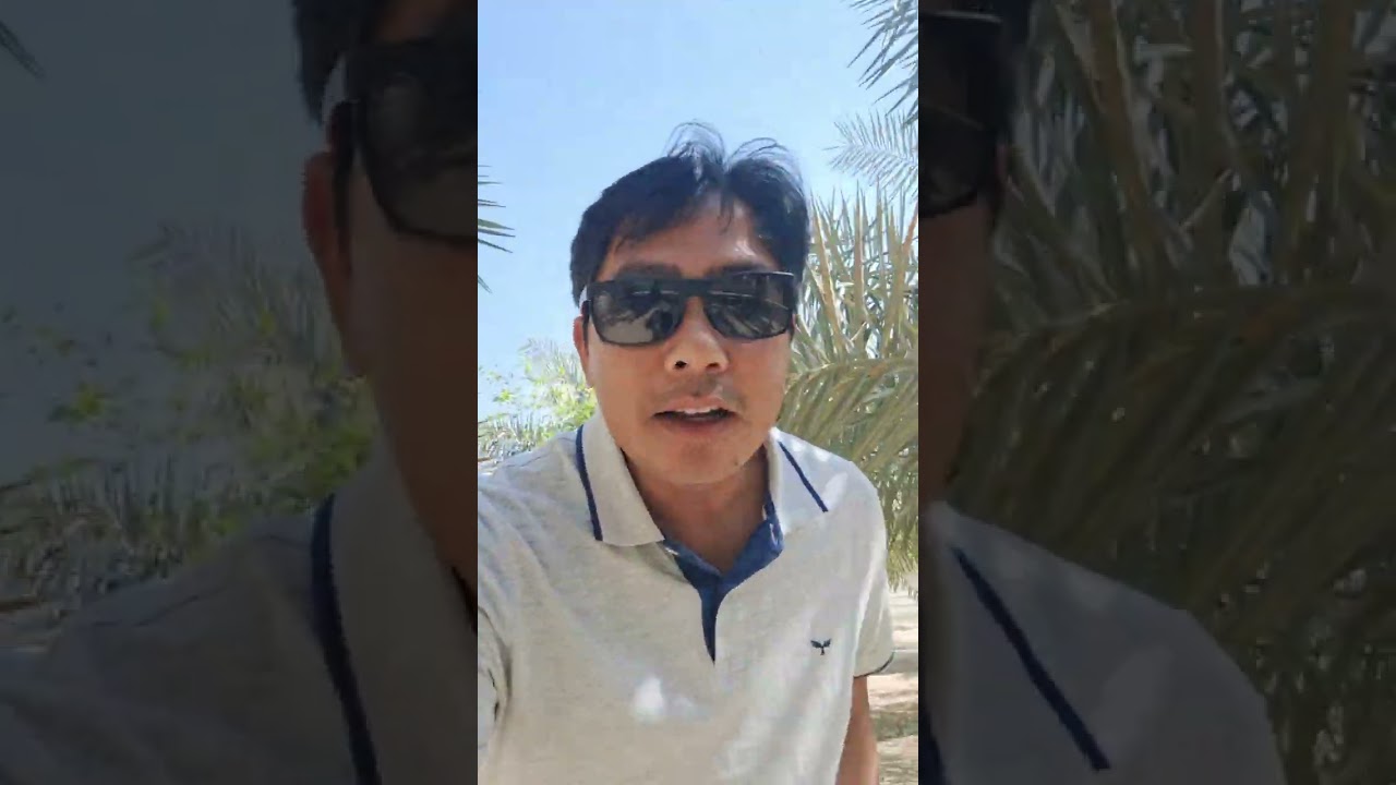 KITA PANEN PERDANA KURMA MERAHH