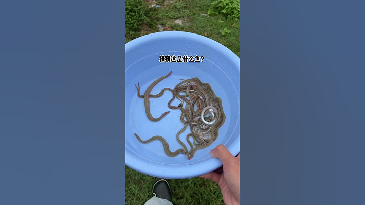 What fish is this? | Chinese Mountain Forest Life and Food #Moo Tik Tok#FYP