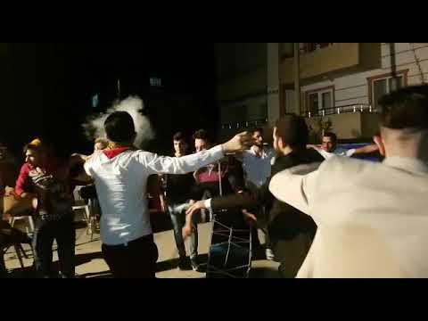 الف محمد نحال 