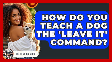 How Do You Teach A Dog The 