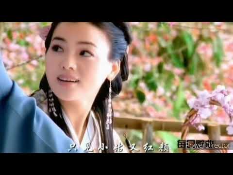 心雨 ( Tâm vũ ) 2 - 笛子 ( Dizi ) / Tùng Genjutsu