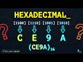 Hexadecimal: The Underrated Computer Science Skill You NEED
