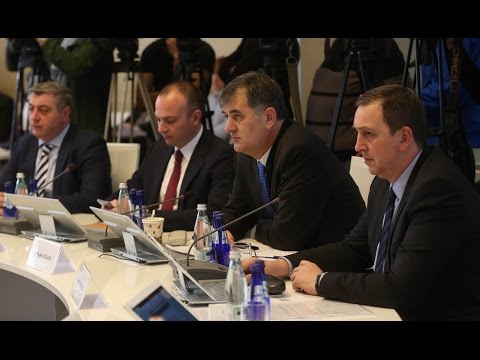 დევნილთა საარსებო წყაროებით უზრუნველყოფის პროგრამა