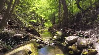 Златен ВОДОПАД от Дрон, с. Иванча, Търговище / Bulgarian Golden waterfall drone film