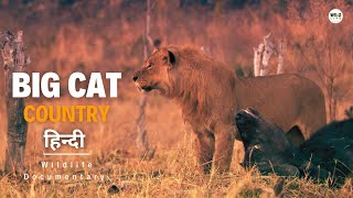 Hollywoods Held Hostage - Big Cat Country [2023] हिन्दी डॉक्यूमेंट्री | Wildlife documentary Hindi by Wildlife Telecast  84,567 views 4 months ago 48 minutes