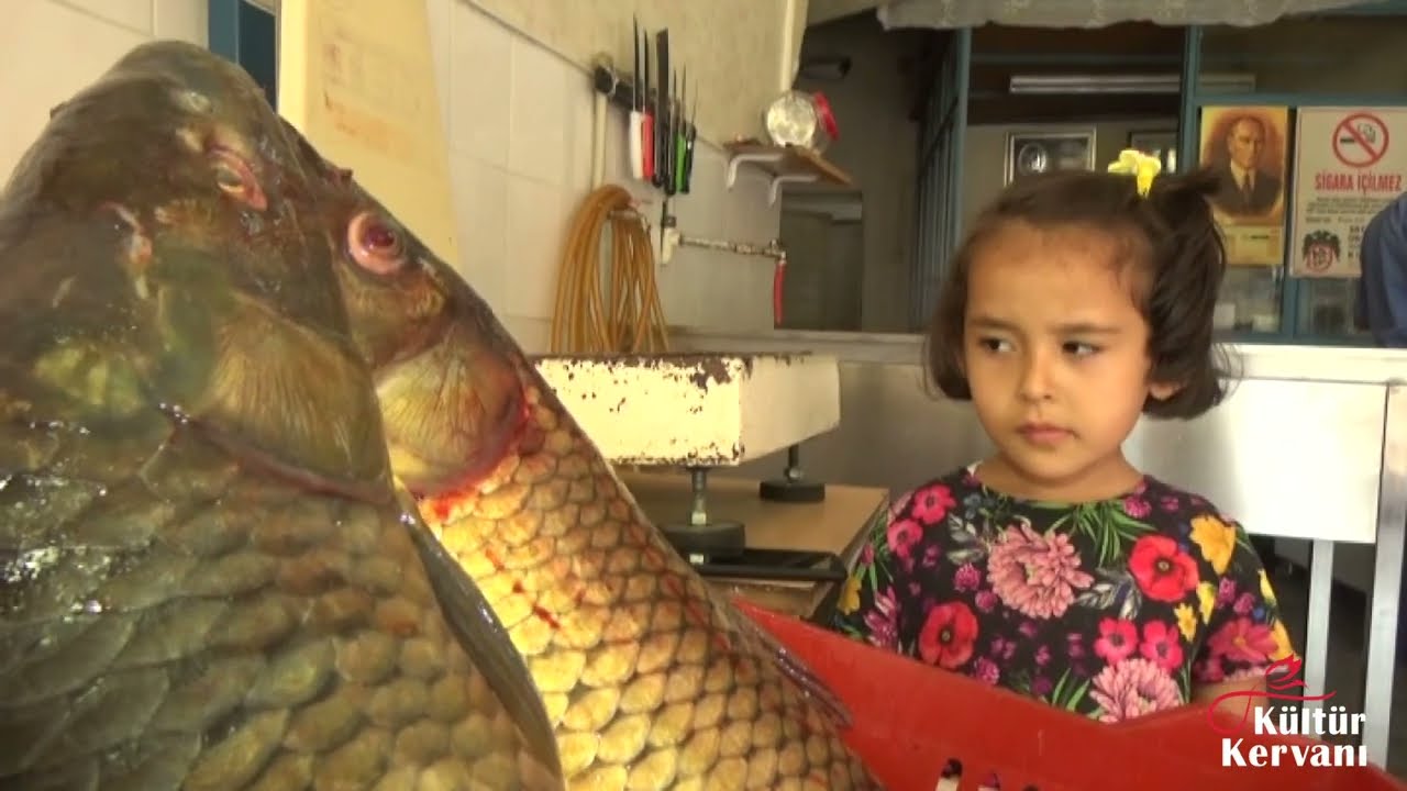 Sazan Balığı Temizlemek Maharet İster