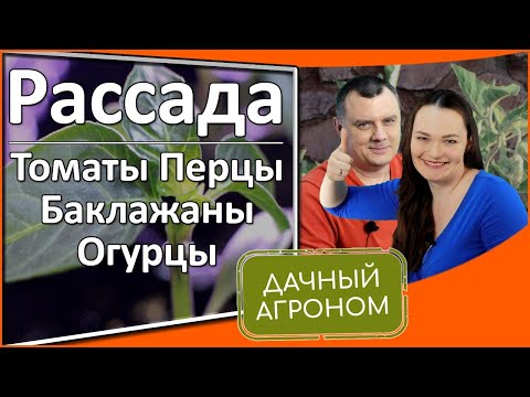 Выращиваем рассаду: все включено! Томаты, Перцы, Баклажаны, Огурцы