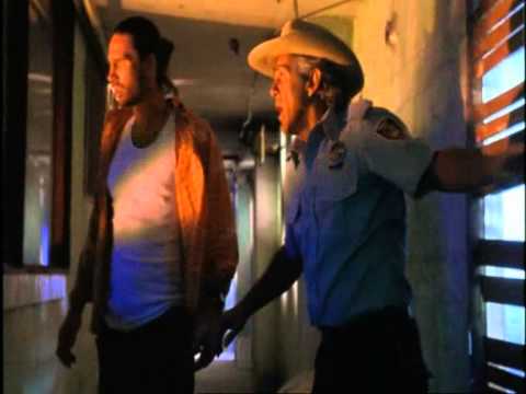 deadly-swarm---shitcase-cinema-review