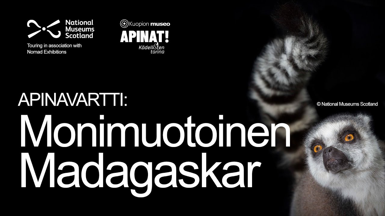 Apinavartti: Monimuotoinen Madagaskar