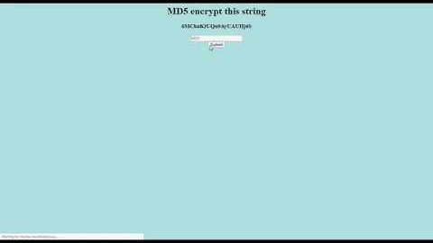 Hack The Box - Web Challenges - Emdee five for life
