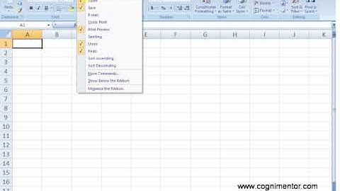 MS Office Excel 2007 Interface
