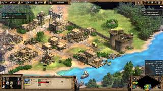 The Easy guide to Tariq ibn Ziyad ♯3 Divide and Conquer. AoE2: DE Campaigns.