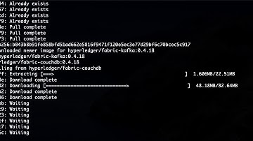 Step by step guide to setup Hyperledger v2.1 Fabcar sample on Ubuntu 18.04 with monitoring enabled