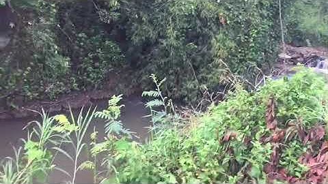 9138m2 đất thuộc Xuân Sơn-Châu Đức-BRVT. Suối bao quanh đất nước quanh năm