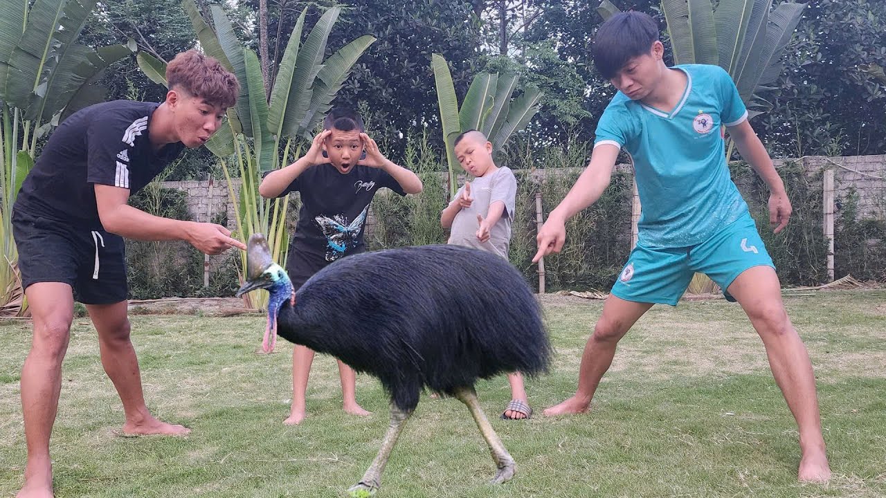 МАЛЕНЬКИЙ БОГ ОРЛА В РУКАХ БРАТЬЕВ МАО И ЧЕМ ВСЁ ЗАКОНЧИЛОСЬ 😳!!! Кулинария TAM MAO ❤️