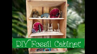 DIY Fossil Cabinet