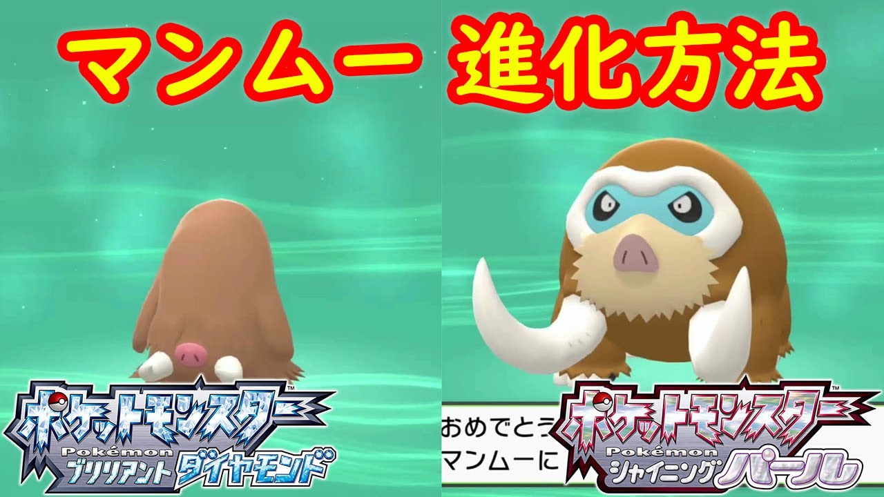 イノムー マンムー 特殊進化方法 攻略 ポケモン ダイパリメイク ポケモン ブリリアントダイヤモンド シャイニングパール Youtube