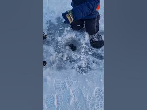 щуренок клюнул - YouTube