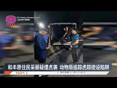 和丰原住民采藤疑遭虎袭 动物局追踪虎踪迹设陷阱【2026.09.22 八度空间午间新闻】