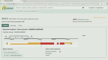 October 2016 Webinar: Gramene Search