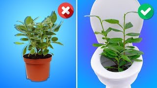 26 НЕВЕРОЯТНЫХ СПОСОБОВ УКРАСИТЬ ВАШ ДОМ 26 НЕВЕРОЯТНЫХ СПОСОБОВ УКРАСИТЬ ВАШ ДОМ