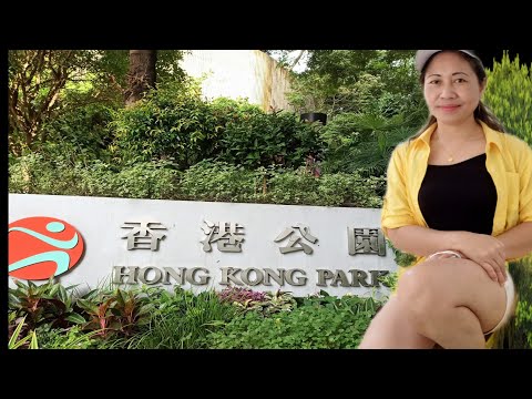 Vídeo: Os Jardins Paisagísticos do Parque de Hong Kong