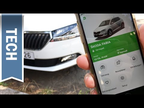 Skoda Connect: Fernzugriff (1 Jahr kostenlos) im Detail / Remote Access