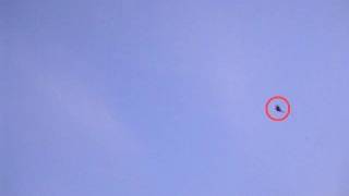Bird tracking