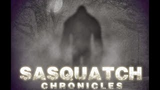 SC EP:238 Strange lights and strange creatures