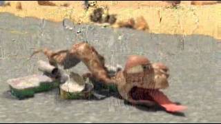 7 Vperedi Jara Tfile Ru