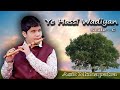 Ye Hasi Wadiya Yeh khula Aasmaan flute by Asit Mohapatra | SCALE :- C|