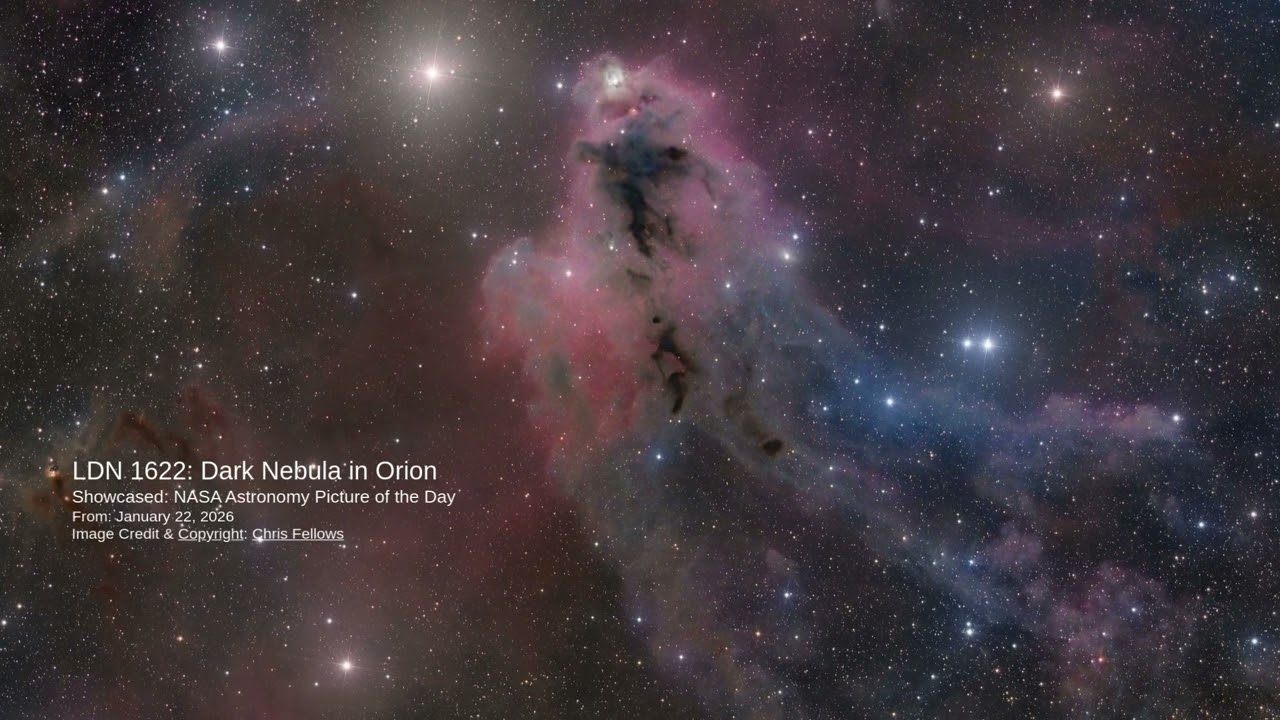 A silhouette of a dark nebula loomed in Orion's depths 